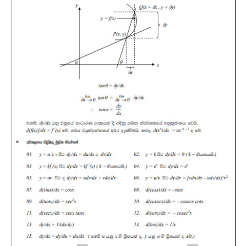 Differentiation-Tute-02